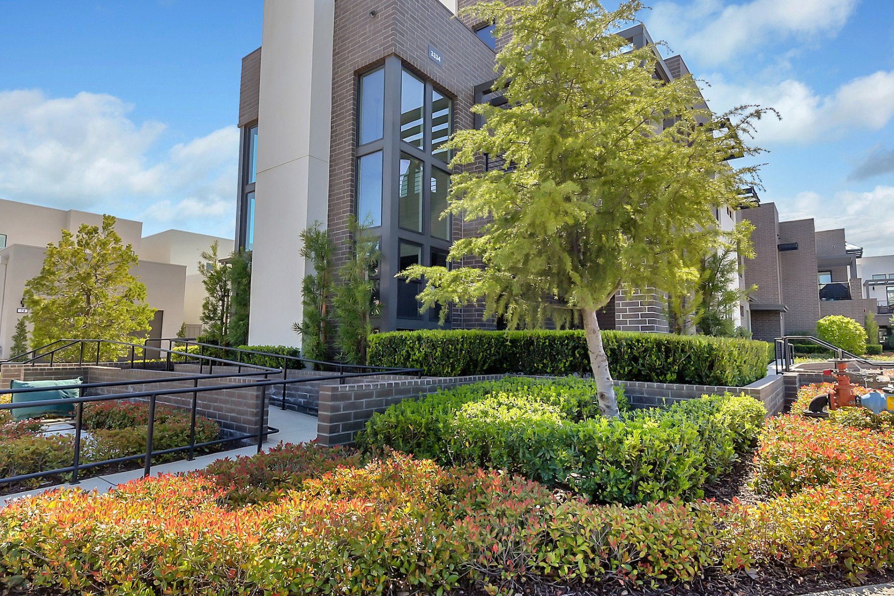 Mature tree and manicured landscaping at a Sacramento commercial property