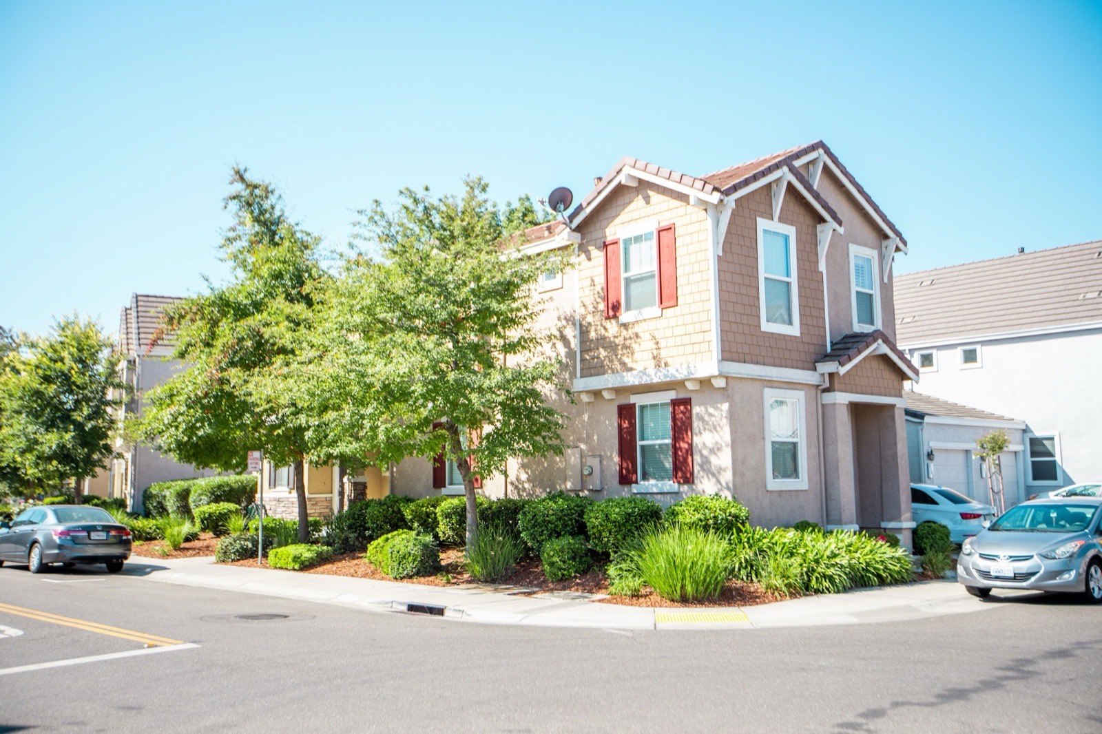 Mature shade tree at a Sacramento residential property